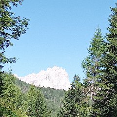 Prati di Croda Rossa - Fiscalina 03 luglio
